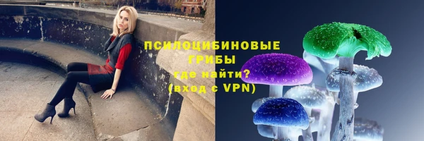 сатива Абаза