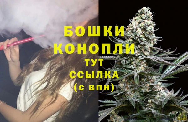 сатива Абаза