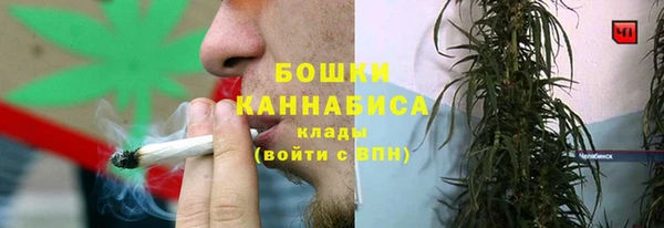 сатива Абаза