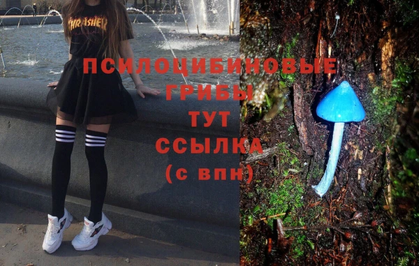 ПСИЛОЦИБИНОВЫЕ ГРИБЫ Абинск