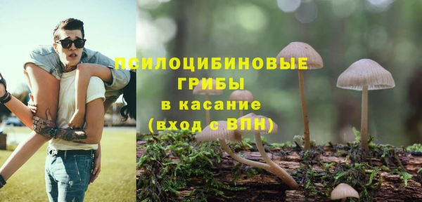ПСИЛОЦИБИНОВЫЕ ГРИБЫ Абинск